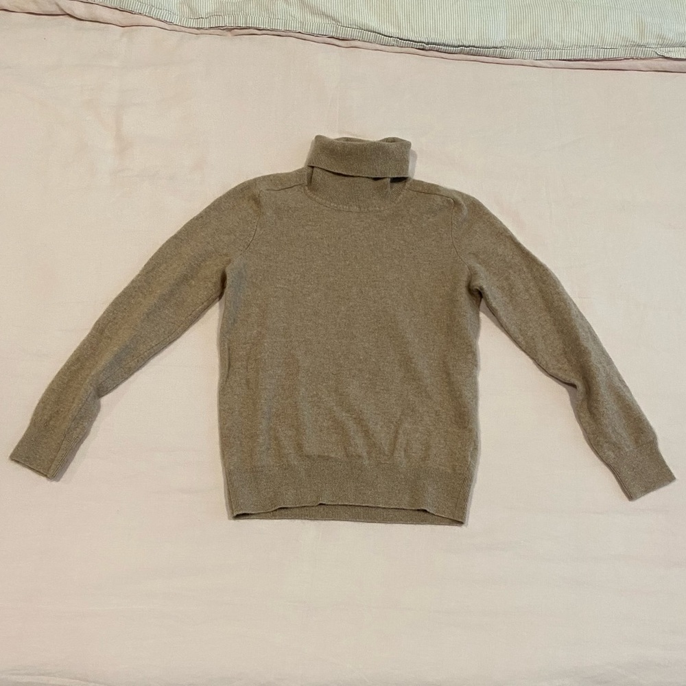 Quince Mongolian Cashmere Turtleneck Sweater